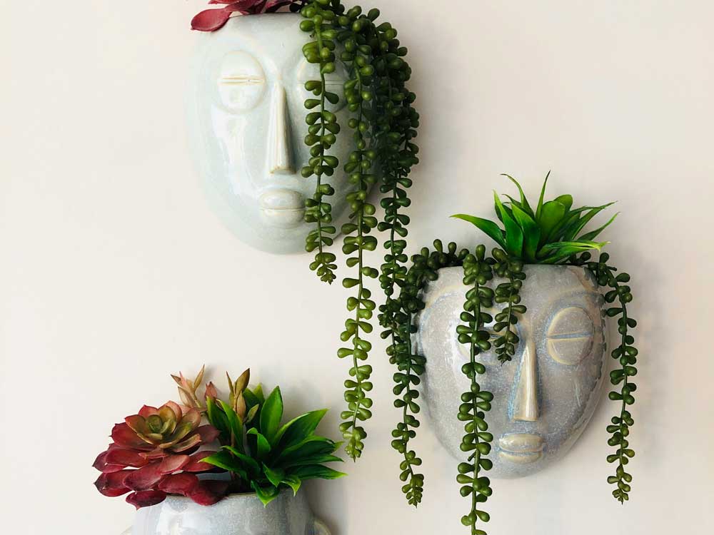 Rastline kot stenski okras